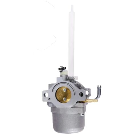 BRIGGS & STRATTON Carburatore Adattabile SNOW BS 796122 (1/3)