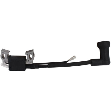 LONCIN Bobina elettronica motore V200 (1/3)