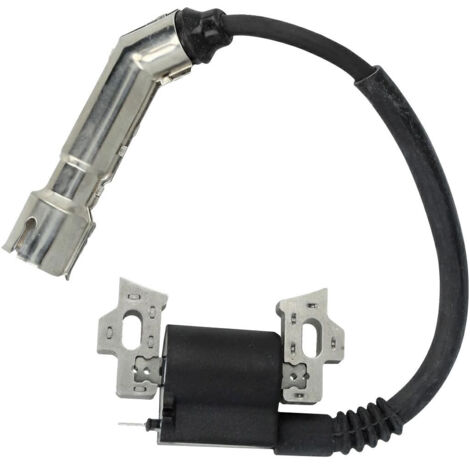 Brigg & Stratton Bobina elettronica motori 593455 (1/3)