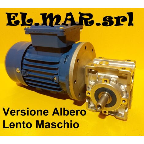 0,25 KW 0,18 Motoriduttore Vite Senza Fine Trifase  Albero Maschio  - 23 Giri