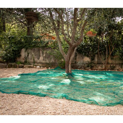 Direct Filet – Filet de récolte 65g/m² pour cueillette de fruits – Fente centrale et œillets renforcés – Dimensions 8 x 8 m – Traitement anti-UV