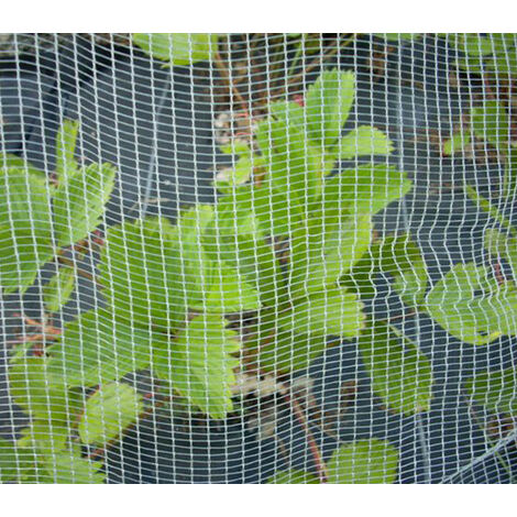 Direct Filet – Filet anti-grêle 12x12m – Protection contre intempéries et insectes – 56g/m² – 50 connecteurs pont inclus – Durable et écologique