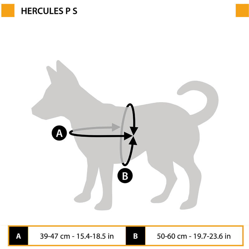 Ferplast DOG FORT Cuccia da interno per cani in legno FSC con sbarre in  alluminio. Variante