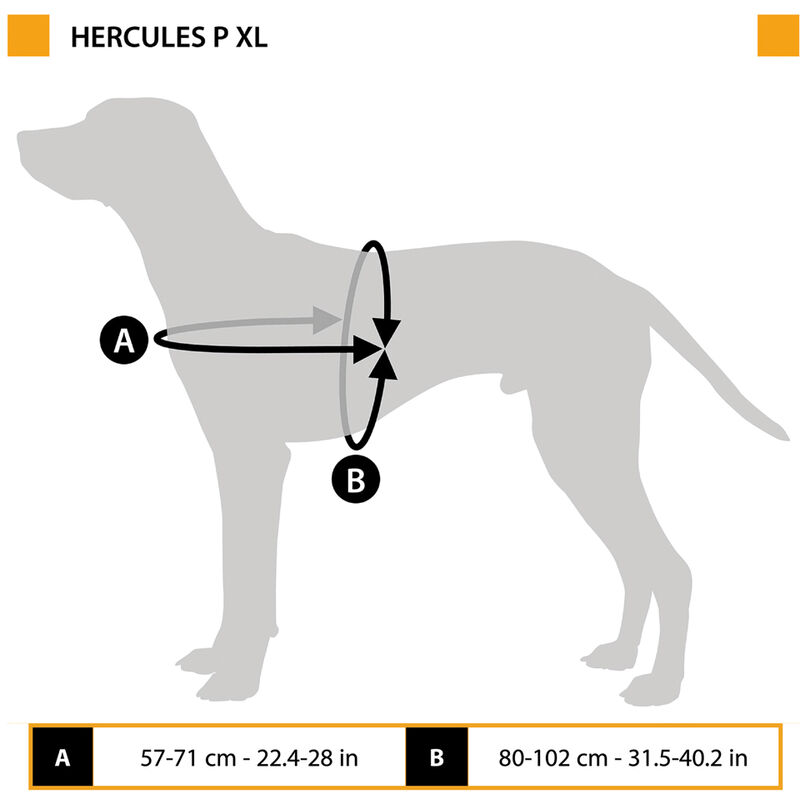 Ferplast HERCULES XL Pettorina tecnica per cani con maniglia e bordi  riflettenti. Vari colori e misure.. Variante - Misure: A: 57-71 cm B:  80-102 cm 40 mm - Blu