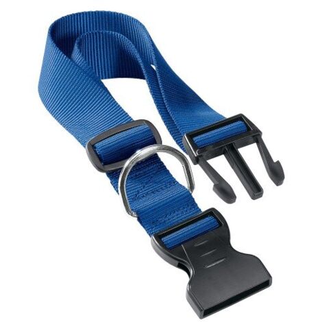 Ferplast CLUB C Collare in nylon per cani, in varie misure e colori. Variante C40/70 - Misure: A: 45-70 cm B: 40 mm - Blu