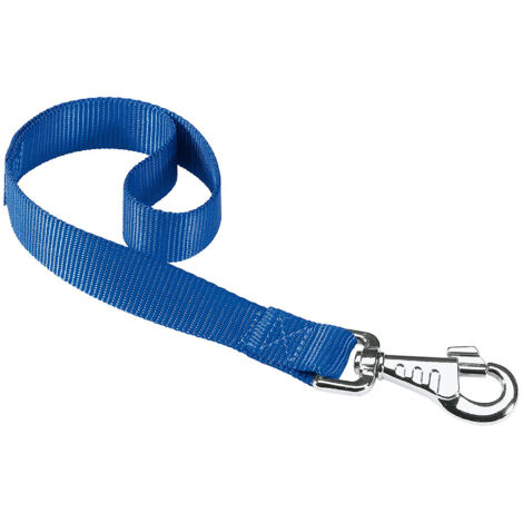 Ferplast CLUB GM Guinzaglio corto per cani in nylon. Variante  - Misure: 25 mm x L 45 cm - Blu