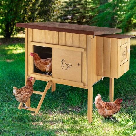 Ferplast HEN HOUSE 10 Casetta per galline in legno di pino nordico. Variante HEN HOUSE 10 - Misure: 124 x 98 x h 110 cm -