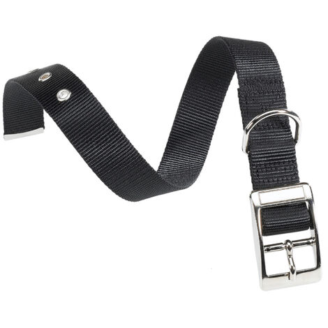 Ferplast CLUB CF Collare in nylon con fibbia di chiusura in metallo - in vari colori e misure. Variante CF25/53 - Misure: A: 45-53 cm B: 25 mm - Nero