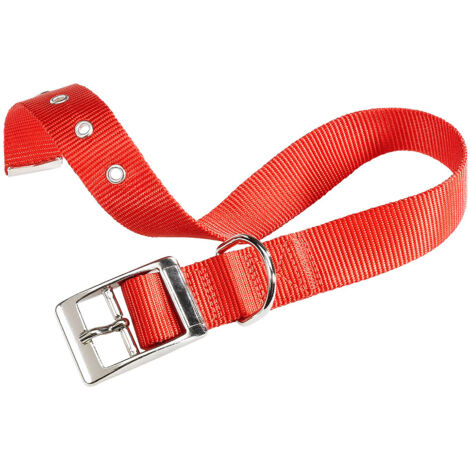 Ferplast CLUB CF Collare in nylon con fibbia di chiusura in metallo - in vari colori e misure. Variante CF25/45 - Misure: A: 37-45 cm B: 25 mm - Rosso