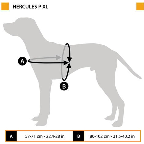 Ferplast DOG FORT Cuccia da interno per cani in legno FSC con sbarre in  alluminio. Variante