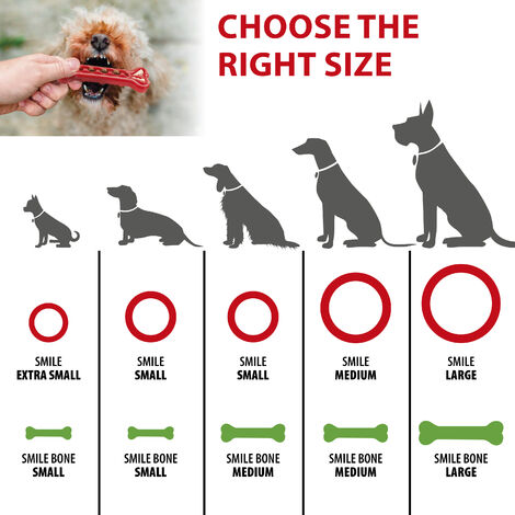 Gioco Per Cane Anello Dispenser Ferplast - Per Crocchette, Igiene Dentale - Taglia Media, Rosso - Foto 9