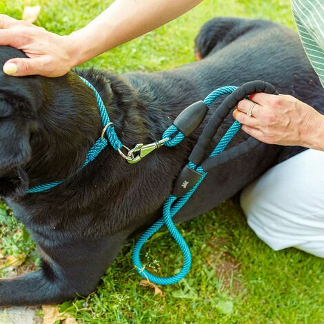 NUOVO Guinzaglio per cani 3m con doppio moschettone