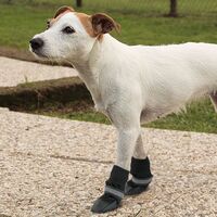 Joydaog Outdoor antiscivolo scarpe cane stivali cane rivestimento resistente all acqua per cani di taglia grande riflettente