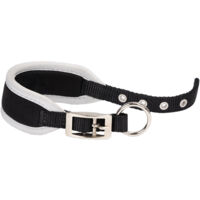 Ferplast ERGOCOMFORT CW Collare imbottito per Levrieri. Varie misure. . Variante CW15/32 - Misure: A: 26-32 cm B: 15 mm - Nero