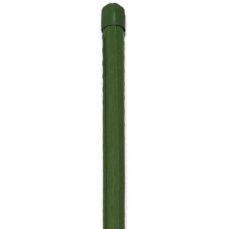 bienenweide blumenkasten Staudenbeet Bienenweide kaufen main image 0