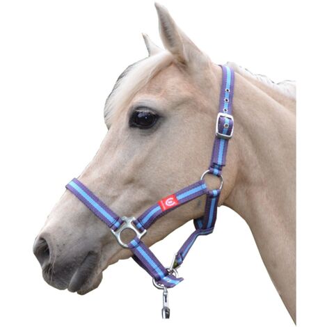 Ambrotii Halfter Nylonhalfter Pferdehalfter verstellbar mit Schnallen Pferd Pony - lila, Cob-Vollblut (145-158 cm)