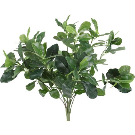 ligustrum sinense sunshine Sunshine Ligustrum – Liberty Landscape Supply