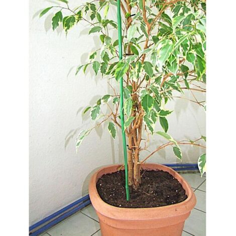 24 Stck Blumenstab 140 cm Bambus Pflanzensttze Halter Rankhilfe Garten  Auen