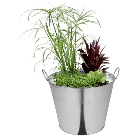 blumenkasten thore Coemo Blumenkasten Riga gro Holz Kruterbeet Pflanzkbel