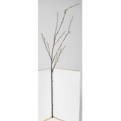 3 PCS Knstliche Weidenktzchen 80cm  Frhlingsdeko Osterzweige Fr Vase &  DIY