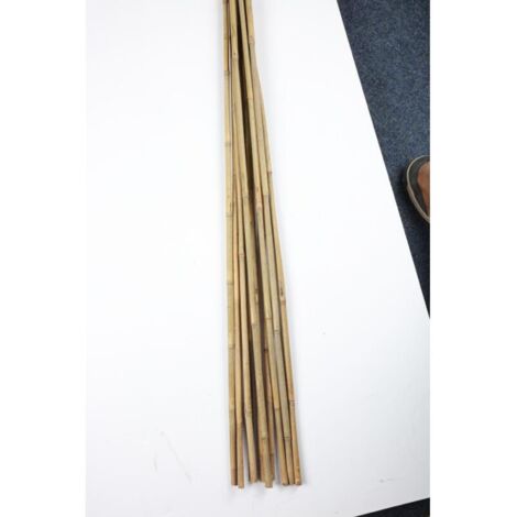 20x Bambus Stangen 10er 120cm Kletterpflanzen Stütze Binder Hilfe