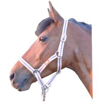 Ambrotii Halfter Nylonhalfter Pferdehalfter verstellbar mit Schnallen Pferd Pony - beige, Pony (90-147cm)