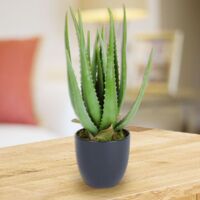 Künstliche Aloe Vera im Topf 45cm Kunstpflanze Dekopflanze Blumentopf Aloevera
