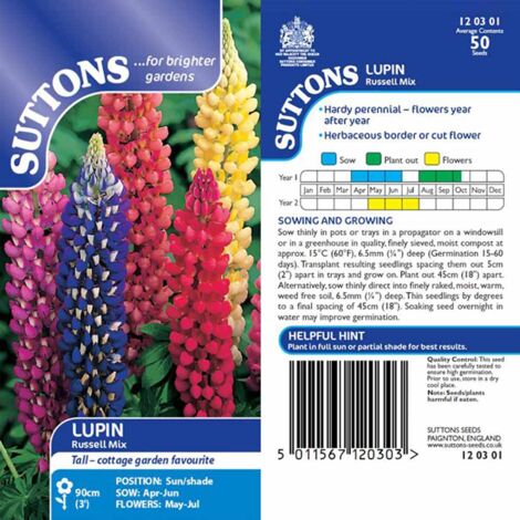 thumbnail image 2 of How To Harvest Lupine Seeds - Pro Tips For Sowing Or Eating | Homes And 2 of 14