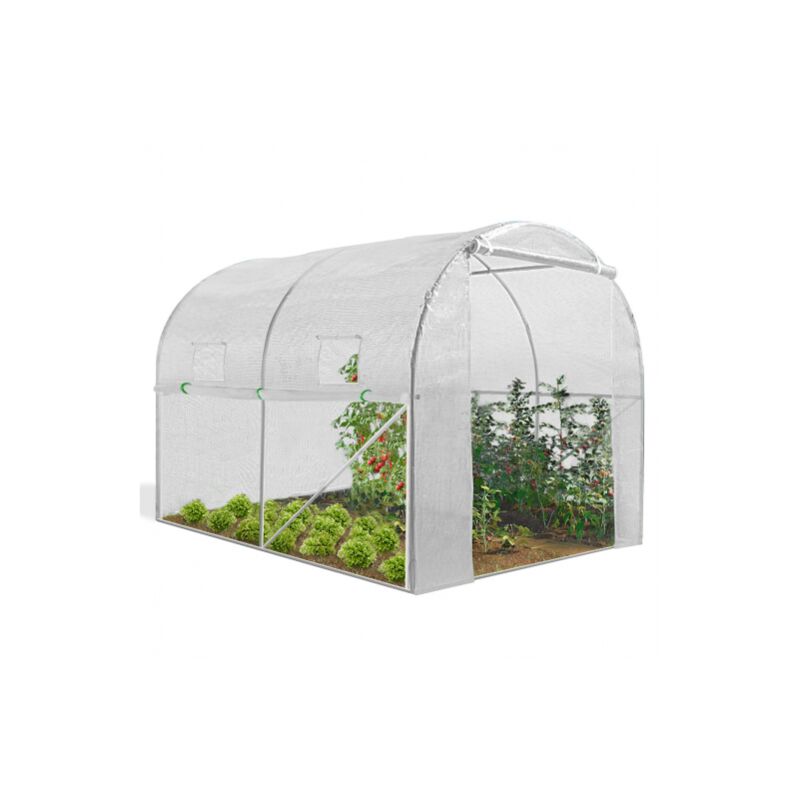 Relaxdays Mini Serre à Bâche Avec Porte – Toit Pointu 95x95x92 Cm, Acier & PVC Transparent, Protection Semis Légumes Herbes