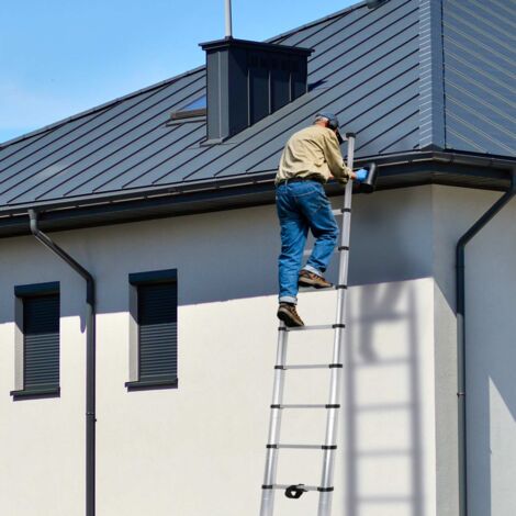 Trampoline De Fitness Kangui Mini Trampoline FITNESS FitBodi 100