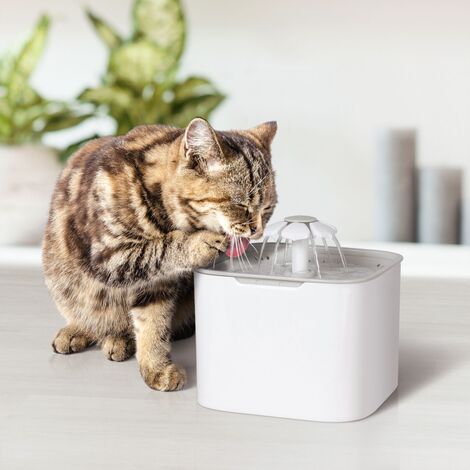 Fontaine A Eau 2l Pour Chien Et Chat Distributeur Automatique