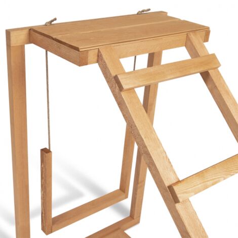 Aire de jeux en bois pour poules avec balançoire et perchoir