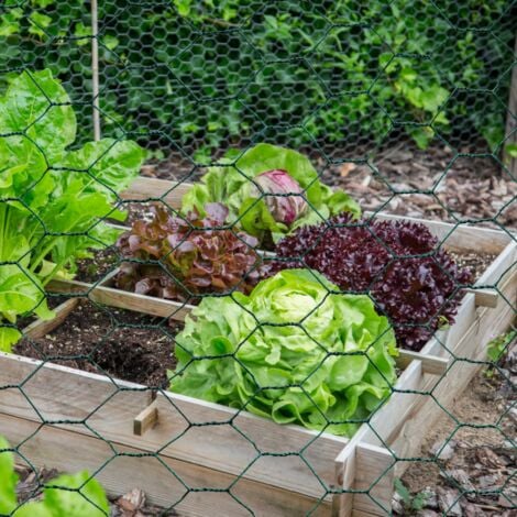 Grillage pour poules vert 1x25M maille 25mm triple torsion clôture souple jardin animaux