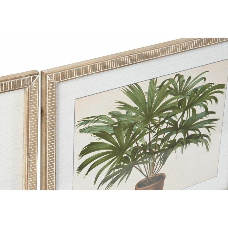 Quadro DKD Home Decor 50 x 2,8 x 65 cm Corallo (4 Pezzi)