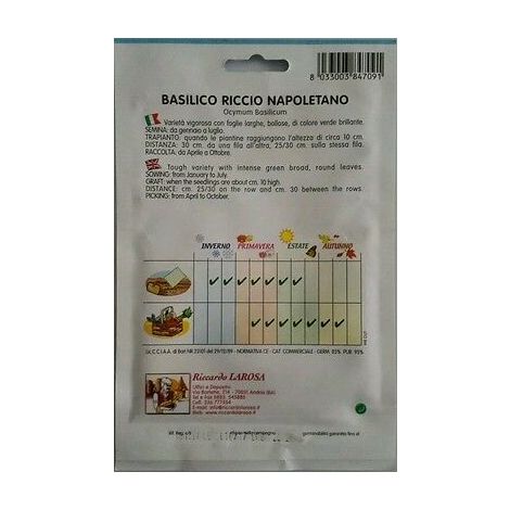 Semi Di Basilico Riccio Napoletano Buste Sigillate Semi Di Piante Aromatiche