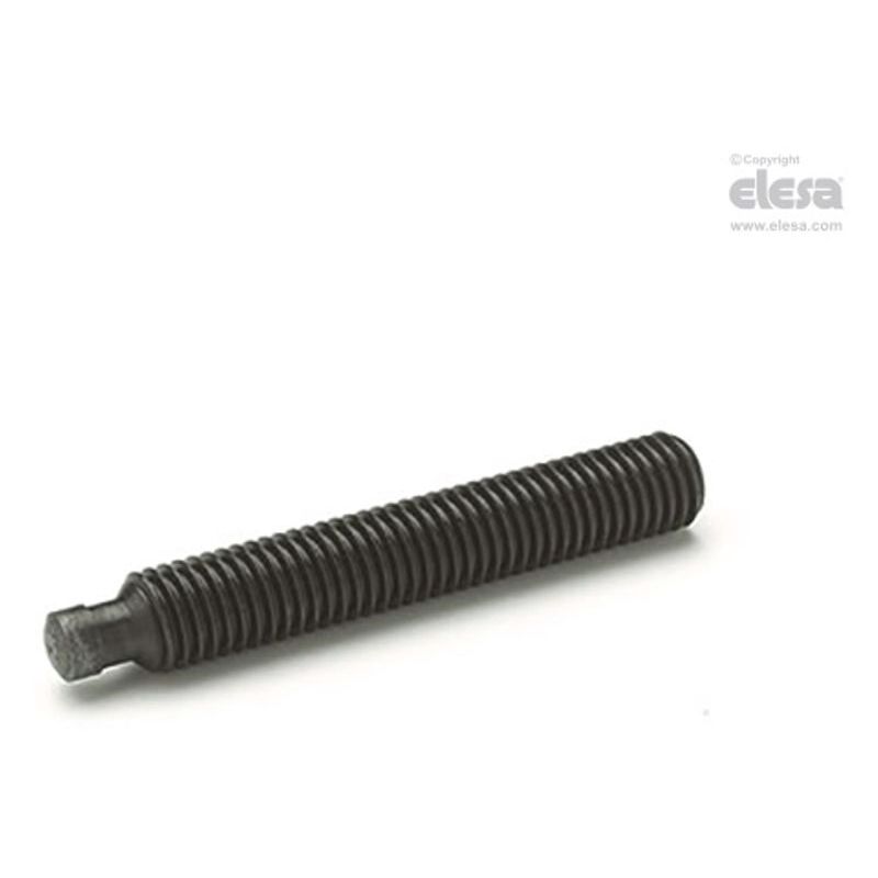 ELESA Grub screw-DIN 6332-M6-30-SKN