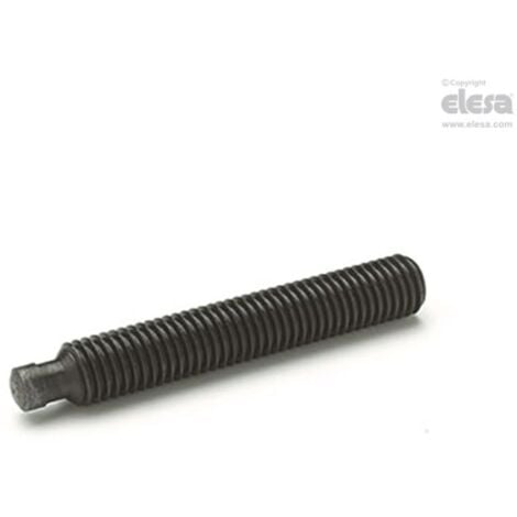 ELESA Grub screw-DIN 6332-M6-30-SKN
