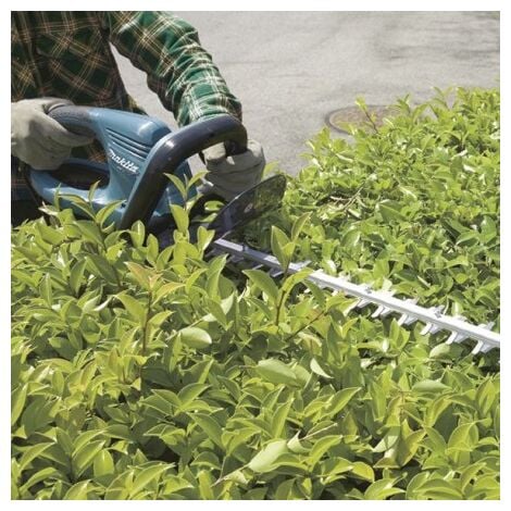 Taille-haie Semi-Pro 550 W 65 cm - MAKITA - UH6570