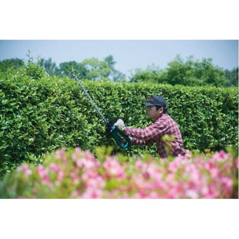 Taille-haie Pro 670 W 75 cm - MAKITA - UH7580
