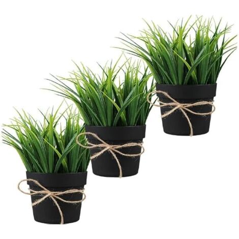 Campane Per Piantine Haxnicks - Confezione Da 3, Trasparenti, Per Orto E Giardino - Foto 8