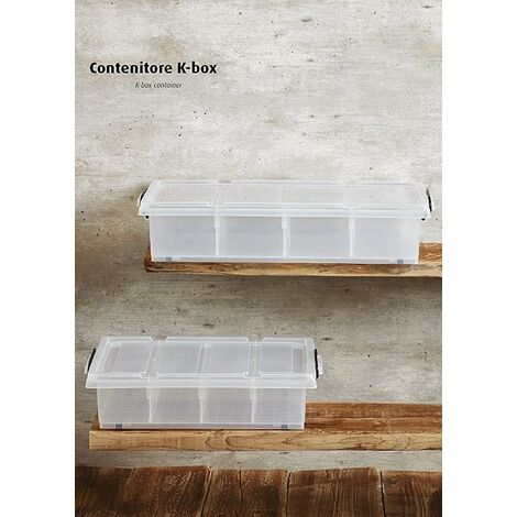 Organizer in plastica con coperchio box universale portaoggetti 2 ruote 4  maniglie