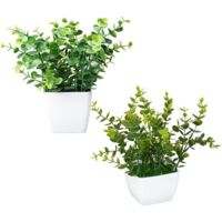 KING HOME PIANTINE ARTIFICIALI SET 2 PZ IN SCATOLA TRASPARENTE DI ACETATO
