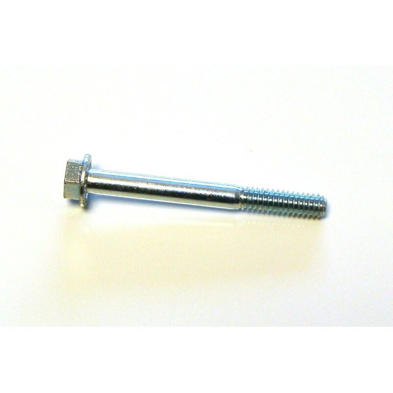 29190052 - Vis de silencieux pour moteur TECUMSEH