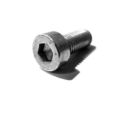 11146528900 - Vis d'arrêt M5x12 pour tronçonneuse STIHL (1/2)