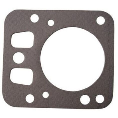 Joint de culasse Briggs et Stratton 697230 - 695166