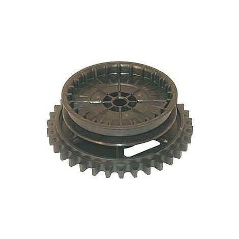 490877 - Poulie lanceur pour moteur BRIGGS et STRATTON