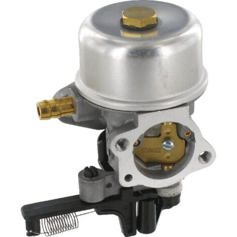 Carburateur BRIGGS ET STRATTON 799226 (1/2)