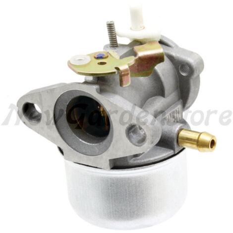 499059 - Carburateur Complet pour Moteur Briggs et Stratton (1/4)