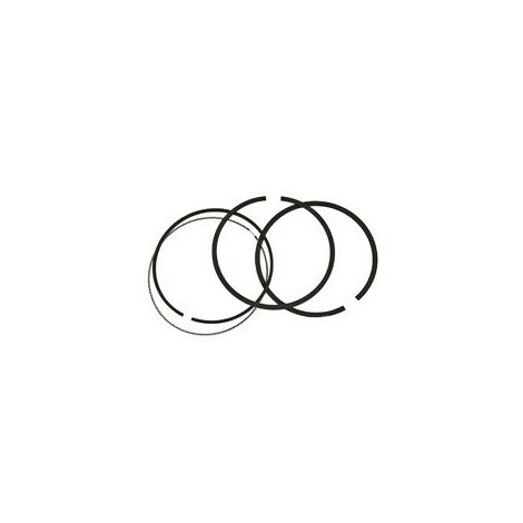 Kit Briggs et Stratton - 698375 (1/3)