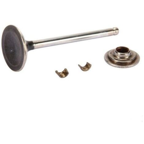 84012919 - Soupape Echappement pour moteur BRIGGS et STRATTON